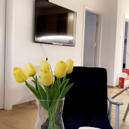 Vanja Apartman 브르사츠 외부 사진
