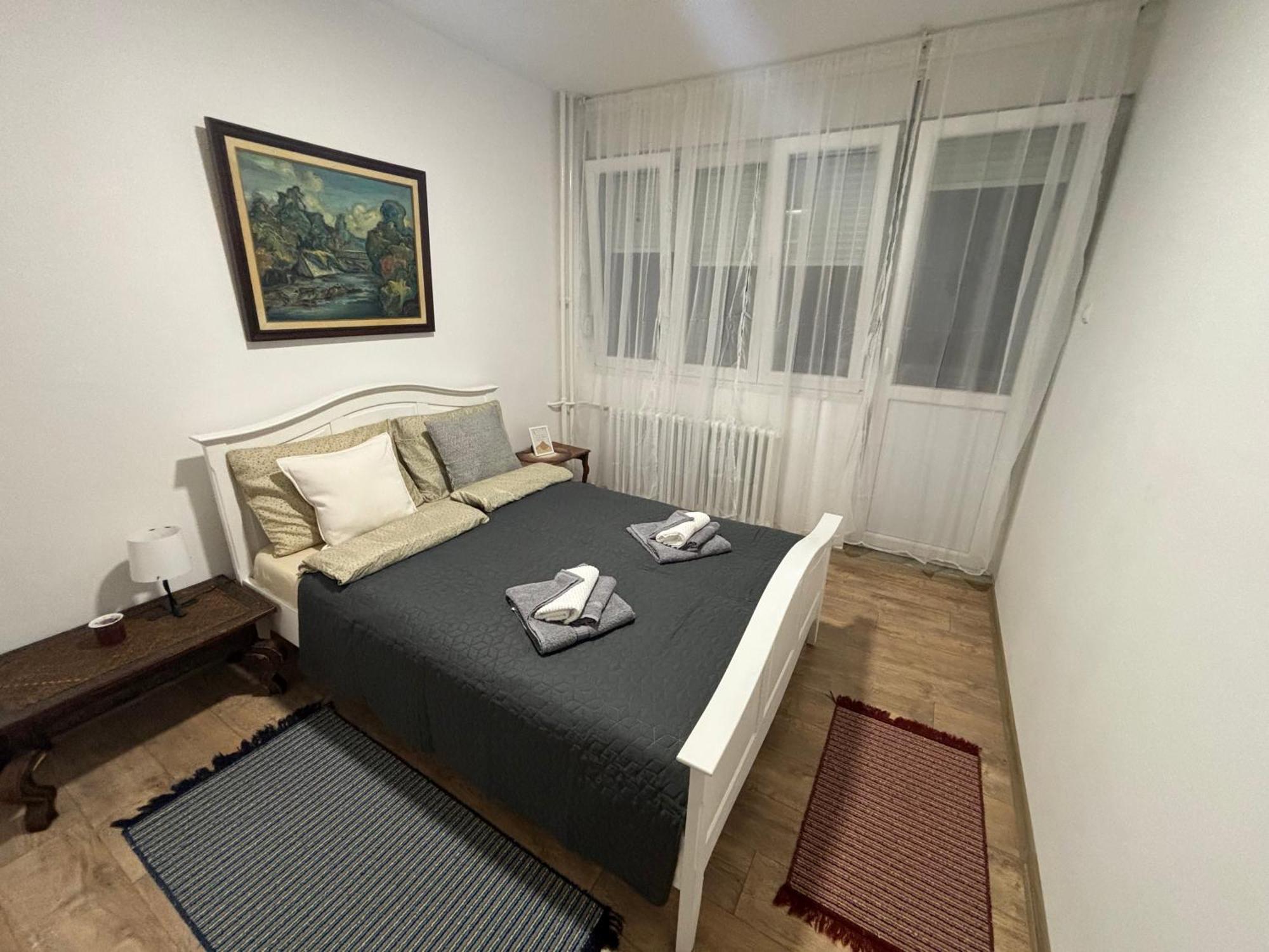 Vanja Apartman 브르사츠 외부 사진