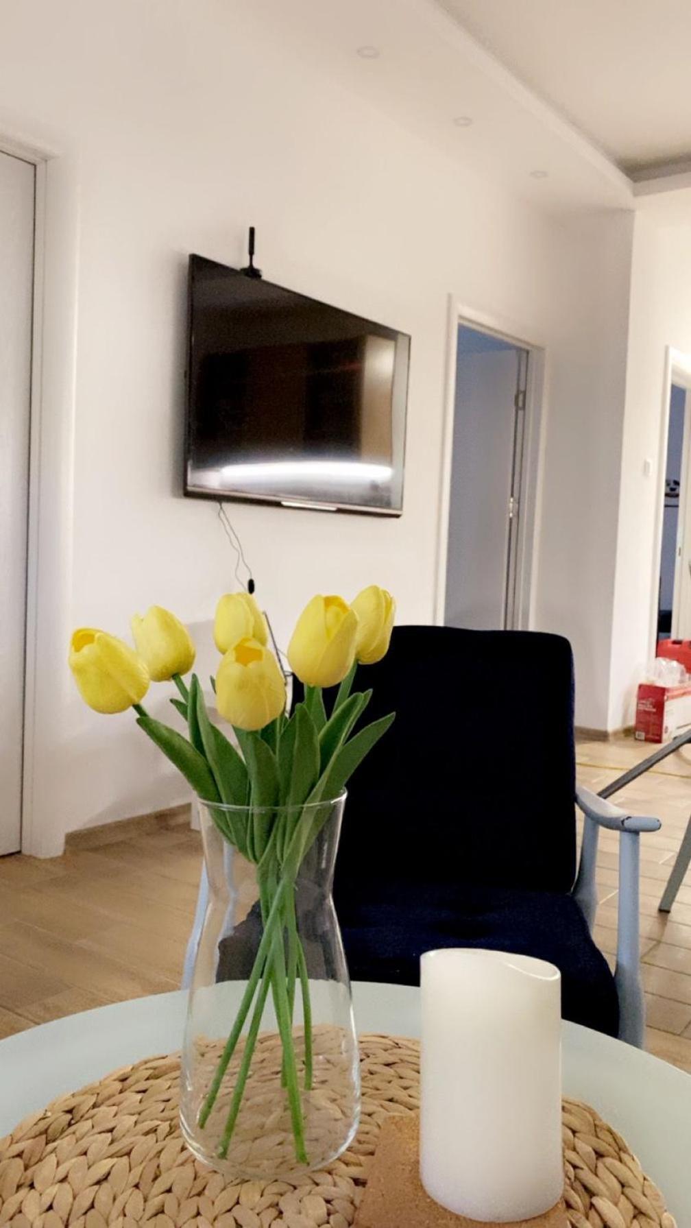 Vanja Apartman 브르사츠 외부 사진