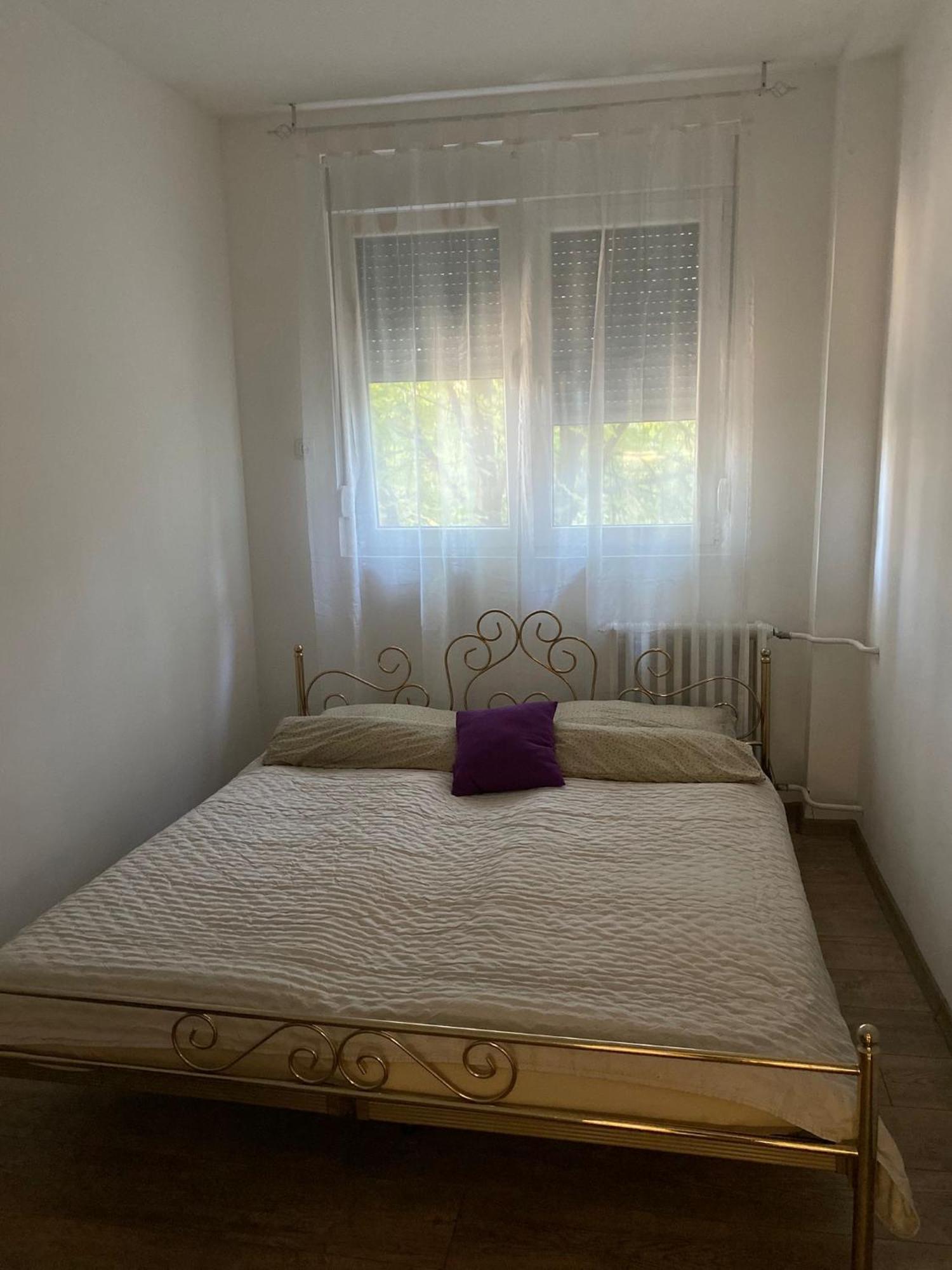 Vanja Apartman 브르사츠 외부 사진