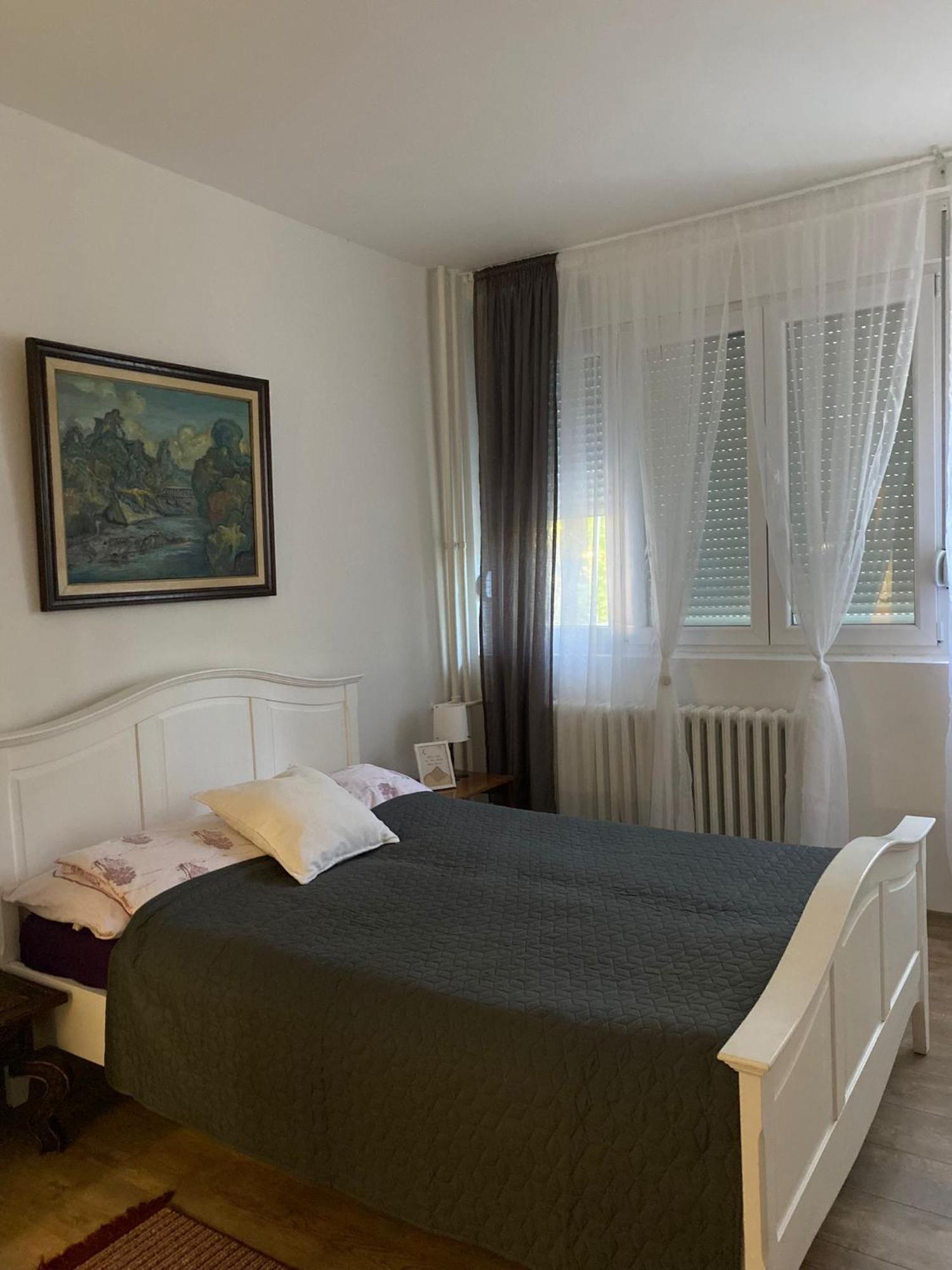 Vanja Apartman 브르사츠 외부 사진