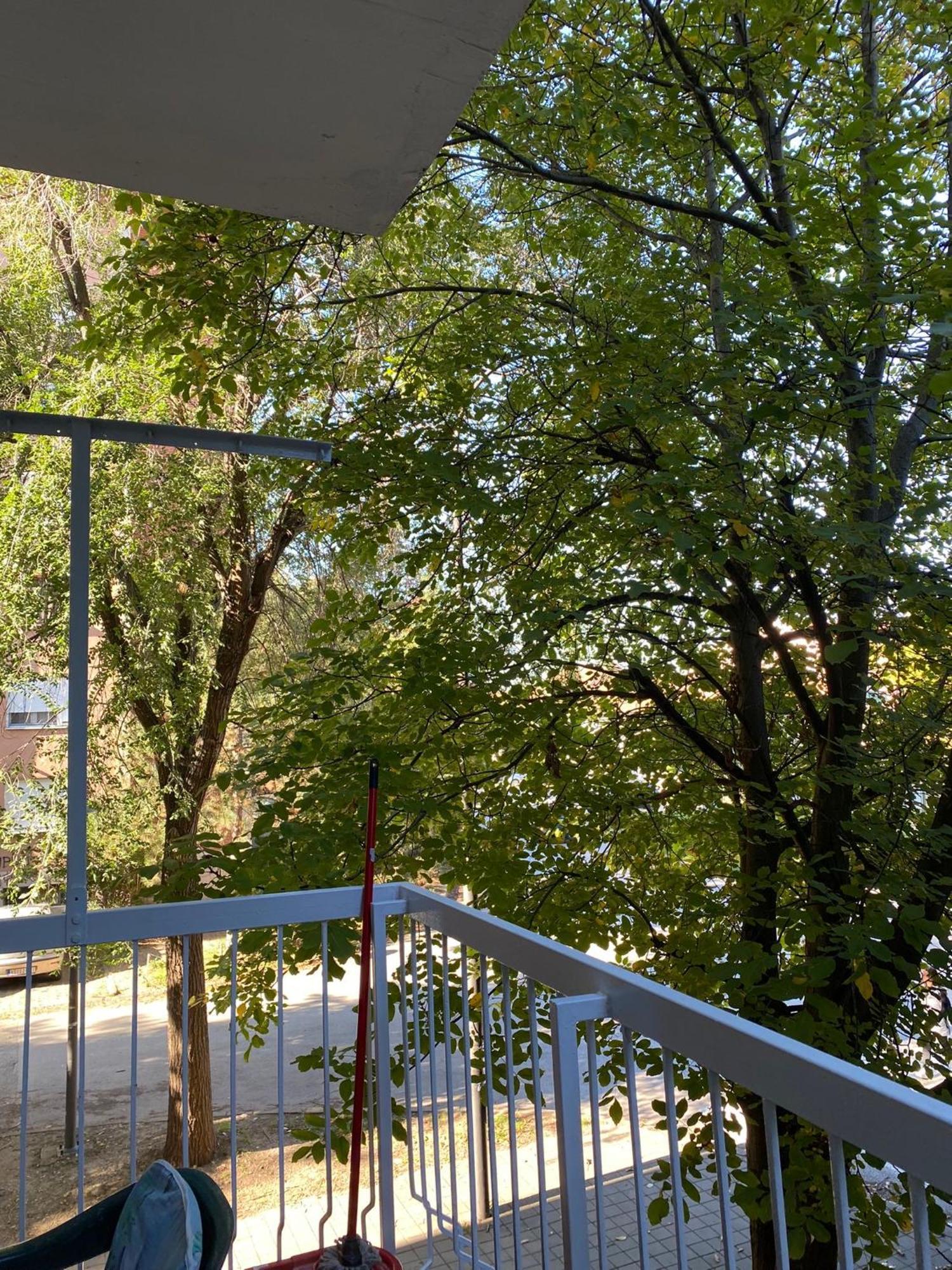 Vanja Apartman 브르사츠 외부 사진